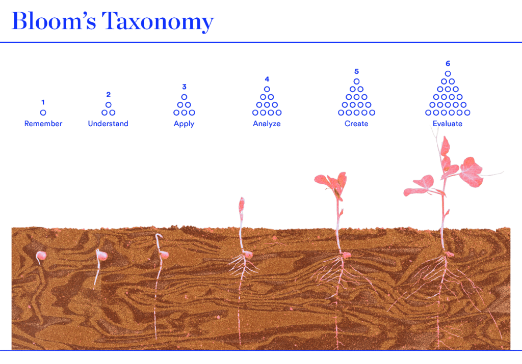 What is Bloom’s Taxonomy? Maestro